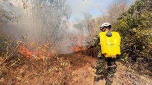 Más de 20 incendios forestales activos en Colombia. UNGRD prende las alarmas