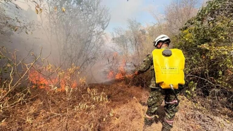 Más de 20 incendios forestales activos en Colombia. UNGRD prende las alarmas