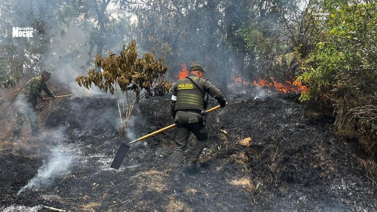 Más de 5 hectáreas ardieron en Guatapé: Policía, Ejército y Bomberos atendieron la emergencia