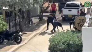 Golpe a la extorsión en Magdalena: 11 capturados y nueve armas incautadas