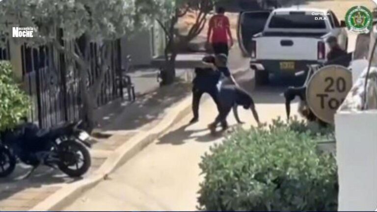 Golpe a la extorsión en Magdalena: 11 capturados y nueve armas incautadas