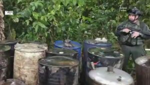 Golpe de $3.900 millones al narcotráfico: inhabilitan complejo de cocaína en Nariño