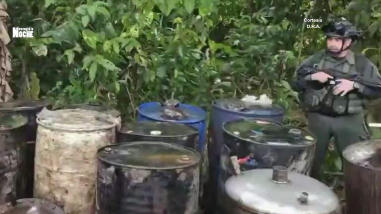 Golpe de $3.900 millones al narcotráfico: inhabilitan complejo de cocaína en Nariño