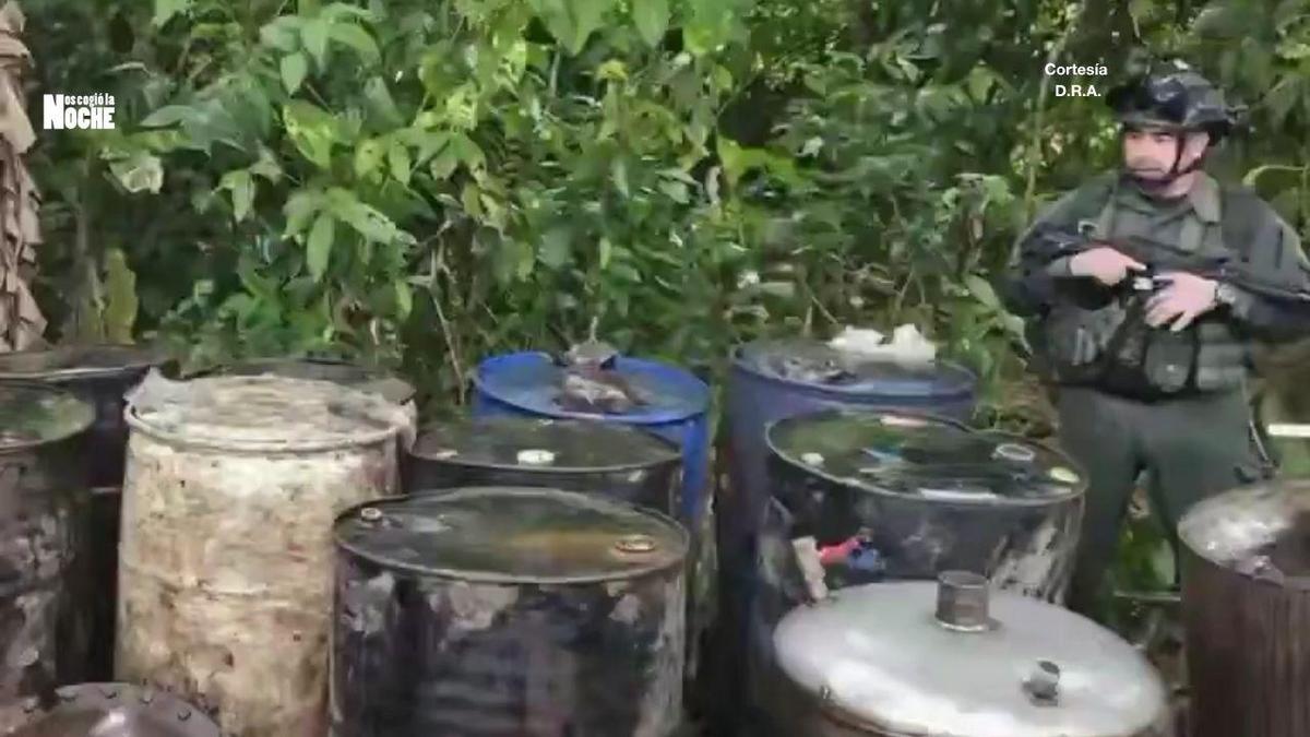 Golpe de $3.900 millones al narcotráfico: inhabilitan complejo de cocaína en Nariño