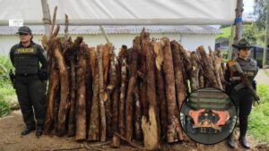 Golpe ambiental en Antioquia: incautan 61 animales y 17,9 metros cúbicos de madera