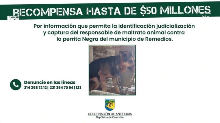 Remedios: buscan a hombre que atacó un perro con machete; hay jugosa recompensa