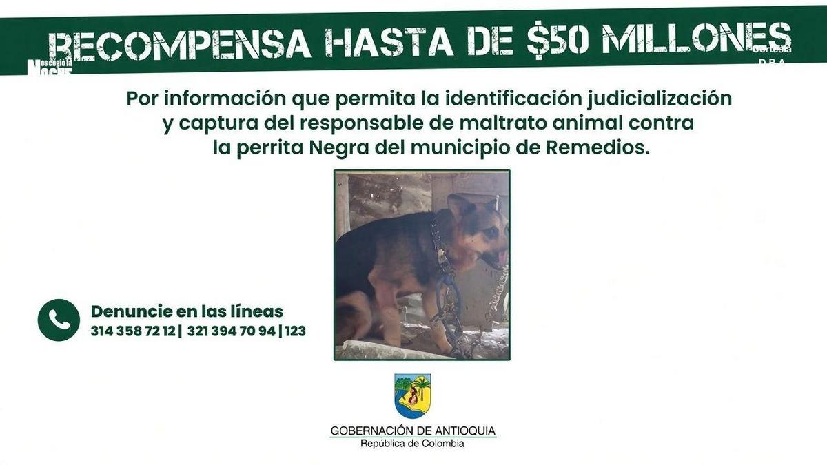Remedios: buscan a hombre que atacó un perro con machete; hay jugosa recompensa