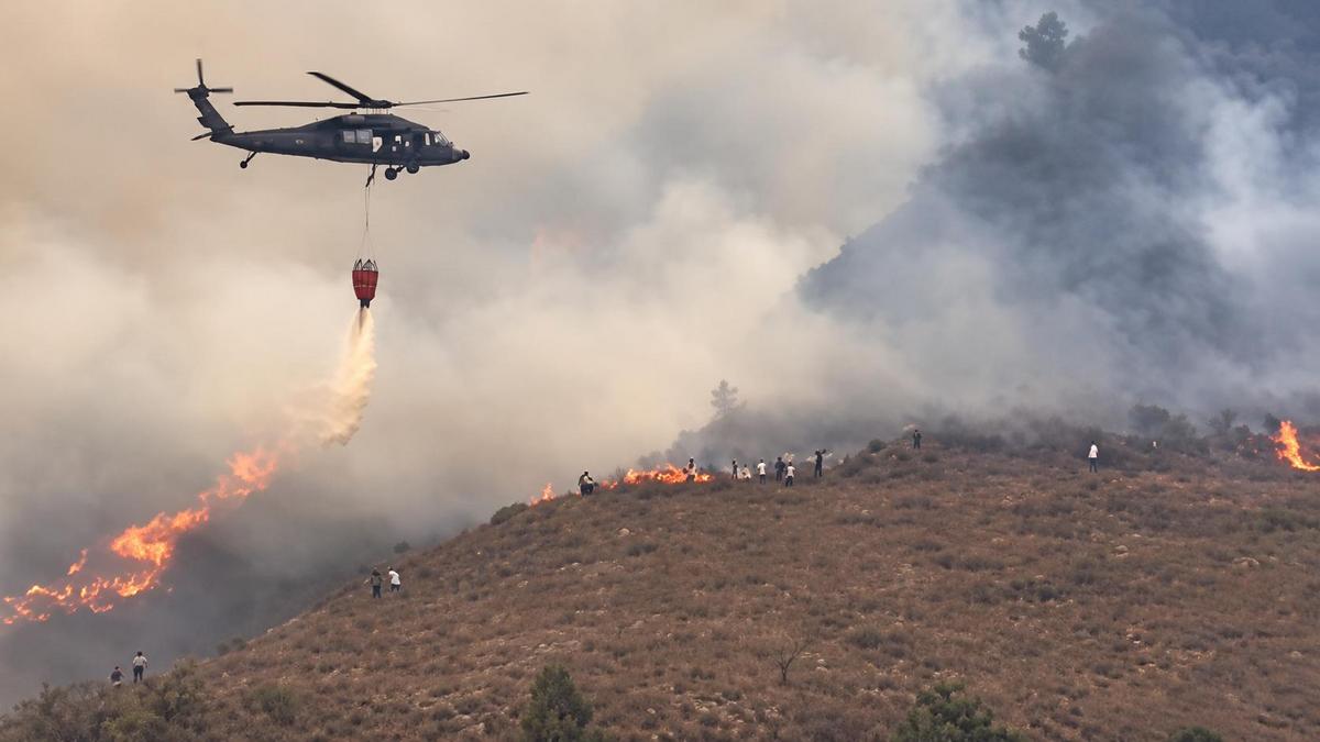 Clamor por ayuda. Ya van 80 hectáreas arrasadas