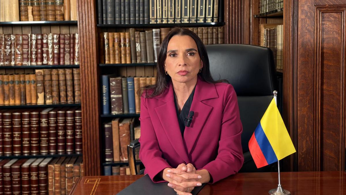 Es un "reflejo del desgobierno de los últimos cuatro años". Embajadora Araujo