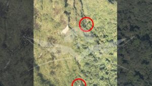 No hay sobrevivientes tras accidente de avioneta en Risaralda