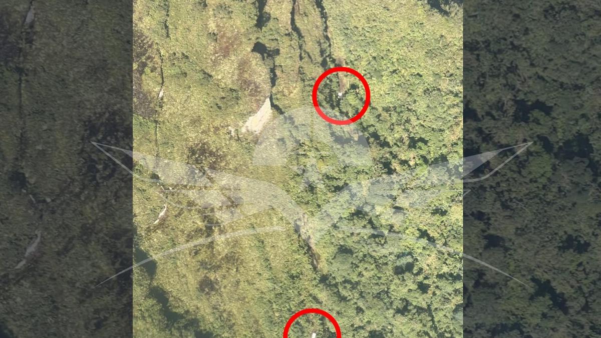 No hay sobrevivientes tras accidente de avioneta en Risaralda