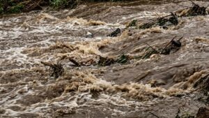 Creciente del río Pescado en Valdivia dejó a 160 familias incomunicadas