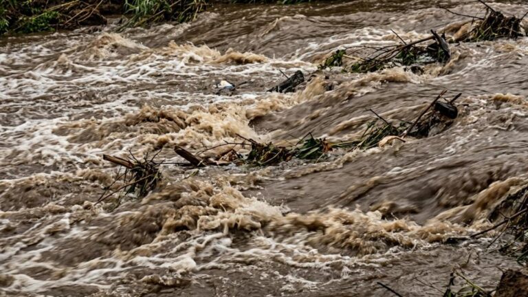 Creciente del río Pescado en Valdivia dejó a 160 familias incomunicadas