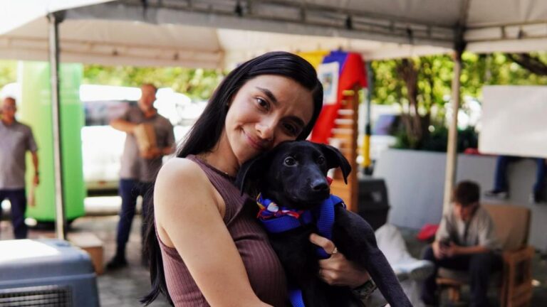 Adoptatón en Medellín este domingo. Conozca dónde