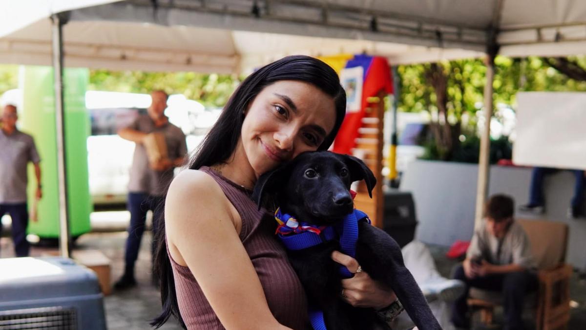 Adoptatón en Medellín este domingo. Conozca dónde