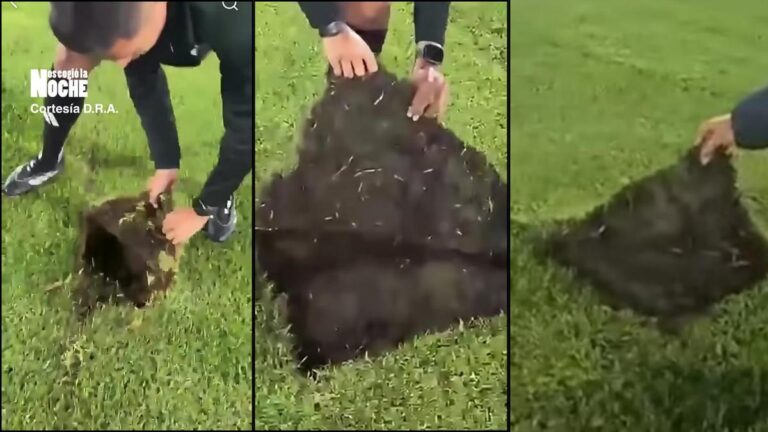 Escándalo en El Campín: por el pésimo estado de la grama se canceló el juego Millonarios vs. Once Caldas