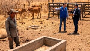 Gobierno y Fedegán chocan por El Niño: 19.030 bovinos muertos y pérdidas por $95.000 millones