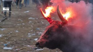 Presunto maltrato animal en las Corralejas de Sabanalarga genera indignación en Colombia