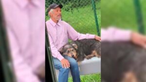 Polémica en El Santuario por conductor que no dejó subir a un adulto mayor con su perro