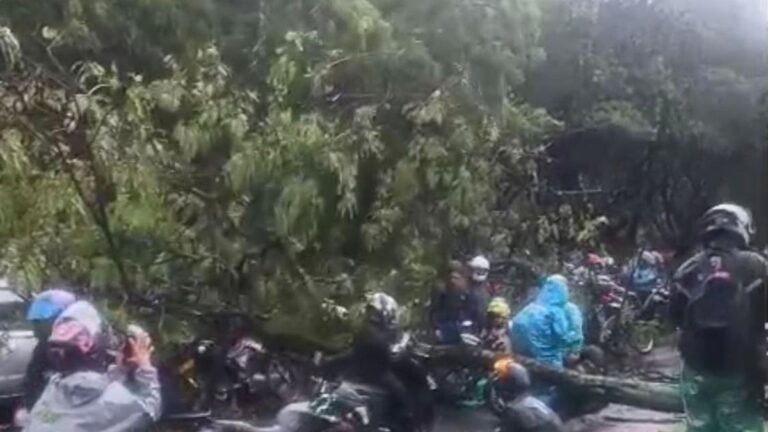 Árbol cayó sobre motos en plena Avenida Regional durante aguacero en Medellín