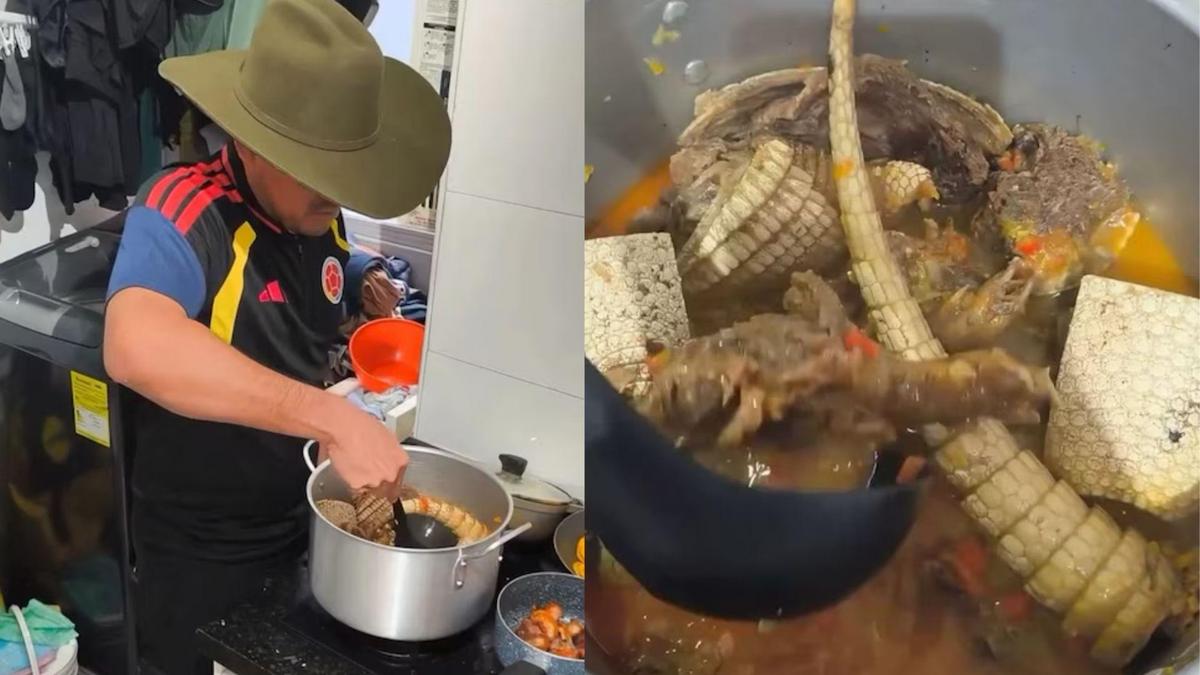 Renunció asesor de la ANT tras video en el que aparece cocinando un armadillo en Bogotá