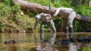 El ahorro de agua mejora en dos embalses, pero ninguno cumple la meta en el Valle de Aburrá