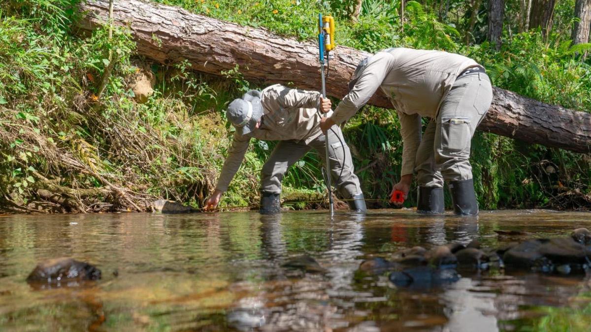 Piedras Blancas sigue bajando y Medellín tendrá otra semana de cortes de agua