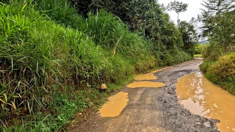 Estas son las 4 vías que quedaron aprobadas en Antioquia para el proyecto de valorización
