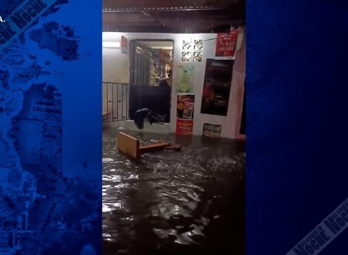 02_BELLO_WWW_ANDRÉS CALDERÓN