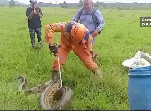 HORIZONTAL VIDEOS 2024.00_54_14_09.Imagen fija272